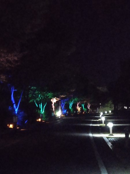 De eerste avond op de camping Zuid Korea